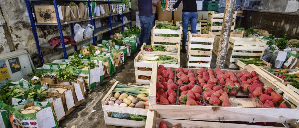 Face à l'urgence sociale : et si on instaurait une Sécu de l’alimentation ?